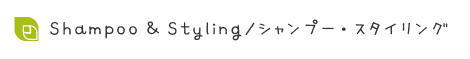 Shampoo & Styling/シャンプー・スタイリング